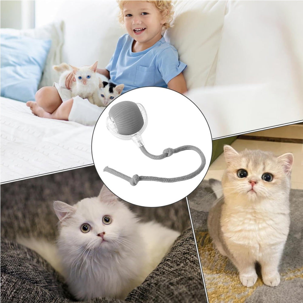 Interactive Electric Rolling Ball Toy for Dogs and Cats – view 14