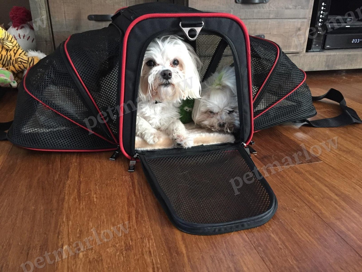 Airline Ready Dog & Cat Carrier – view 5