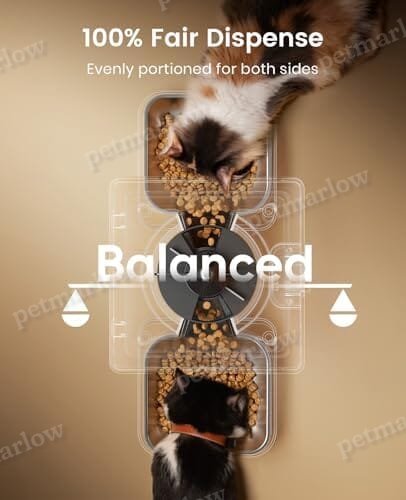 Automatic Cat Feeder for 2 Cats, 20 Cups/5L Automatic Cat Food Dispenser – view 4