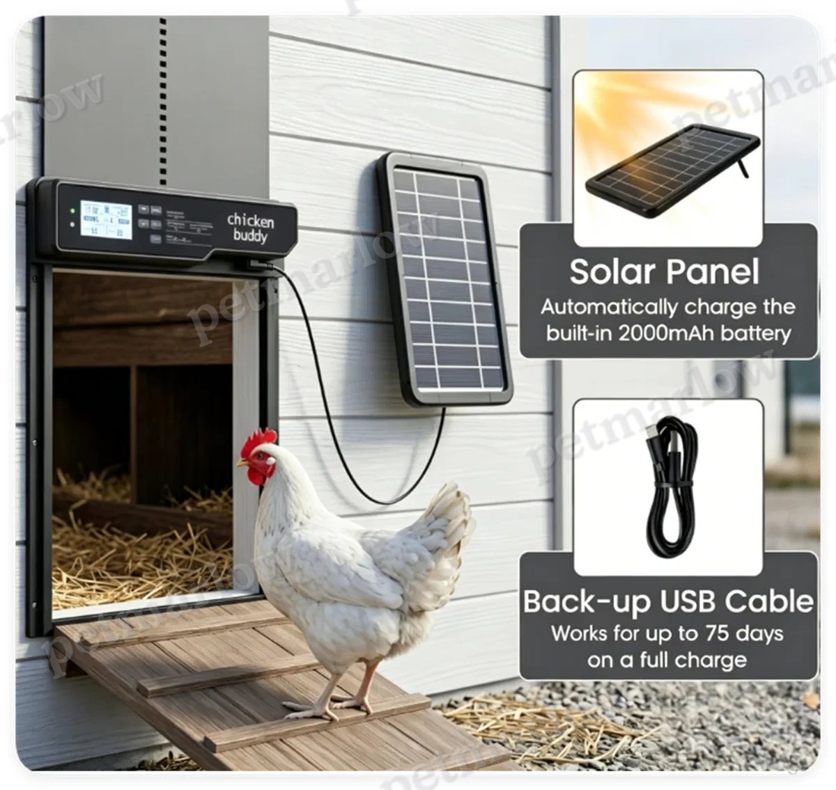 Automatic Chicken Coop Door with Solar Power and 4 Control Modes – view 3