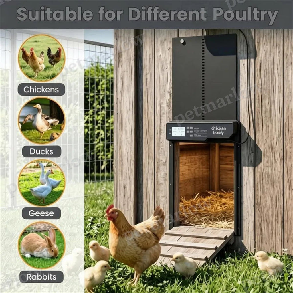 Automatic Chicken Coop Door with Solar Power and 4 Control Modes – view 6