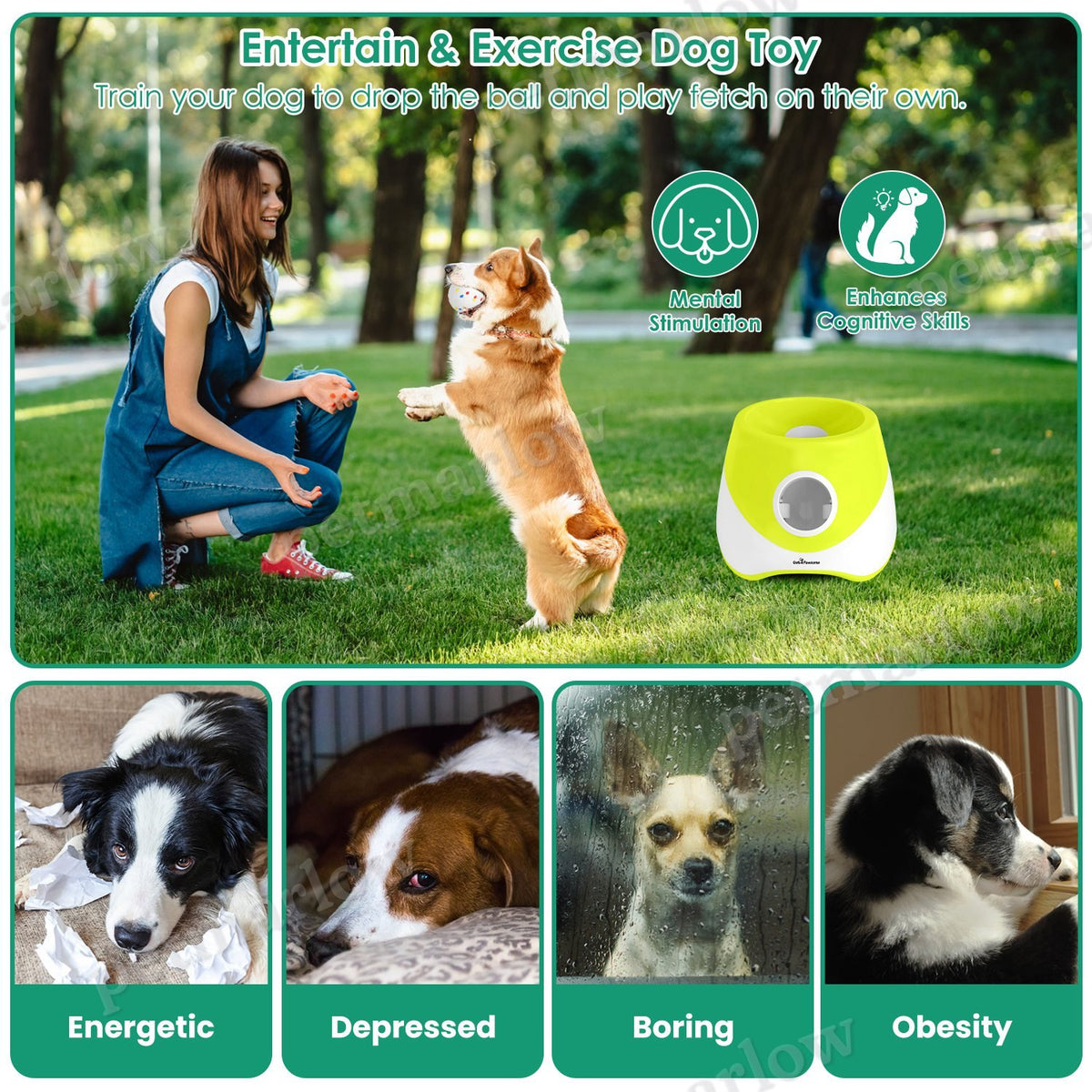 Automatic Dog Ball Launcher for Interactive Fetch – view 5