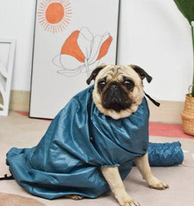 Automatic Drying Bag for Quick Drying Pets – S / Blue