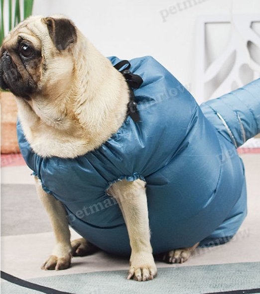 Automatic Drying Bag for Quick Drying Pets – view 3