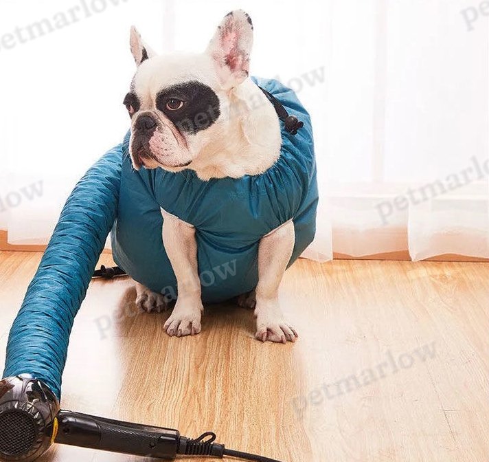 Automatic Drying Bag for Quick Drying Pets – view 6
