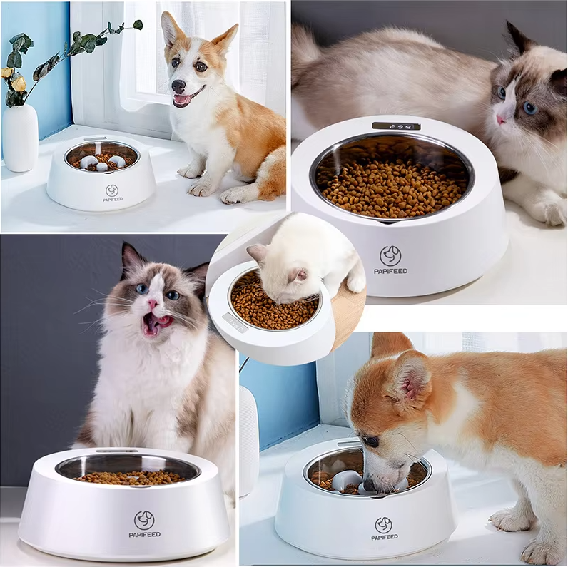 Automatic Food Dispenser for Dogs and Cats – Interactive Feeder with Digital Display