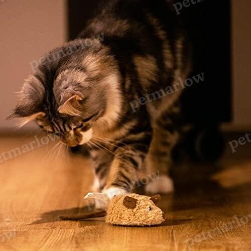 Automatic Moving Kitten Toys Electric Mice Toy Self Play Exercise – view 2
