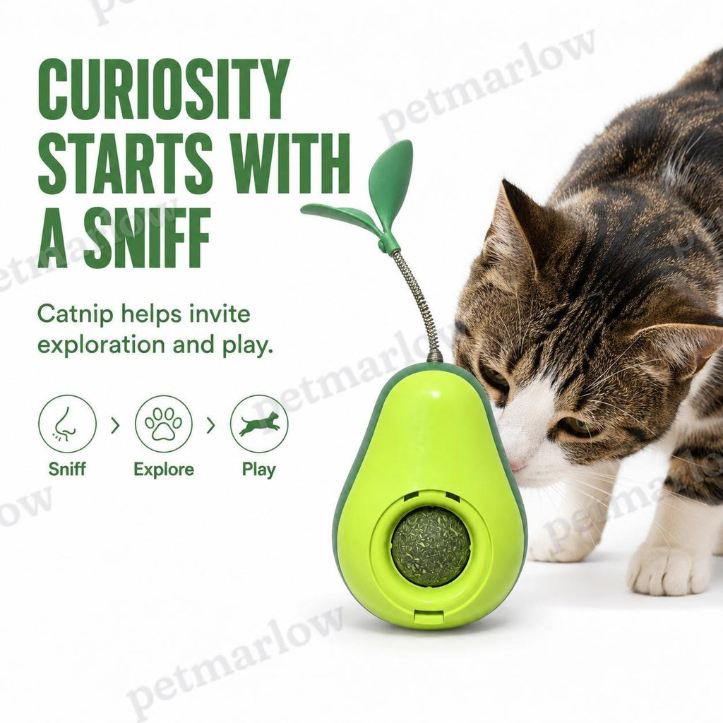 Avocado-Shaped Cat Tumbler Toy for Interactive Play – view 2