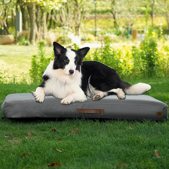 Inflatable Waterproof Dog Bed for Indoor and Outdoor Use – view 8