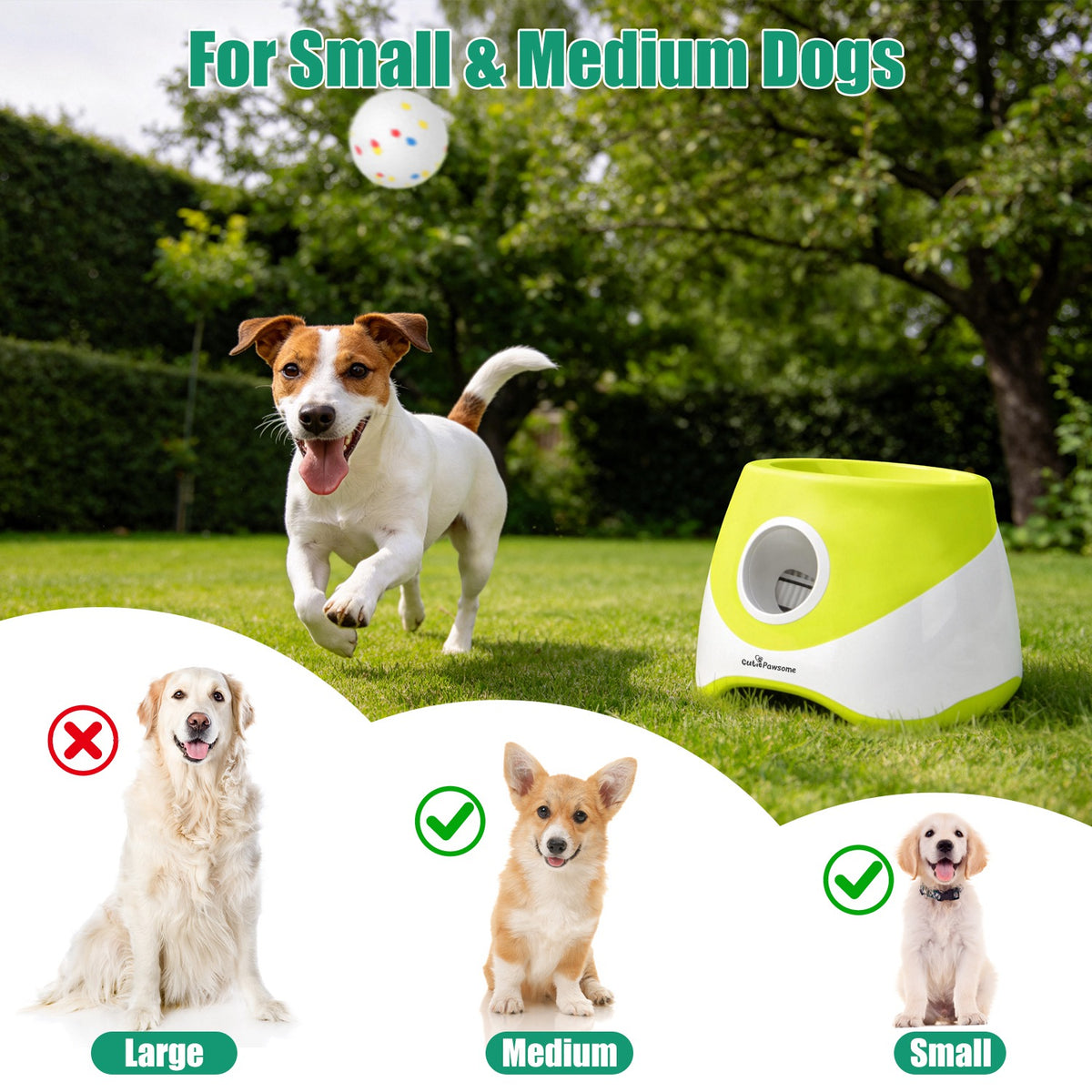 Automatic Dog Ball Launcher for Interactive Fetch – view 11