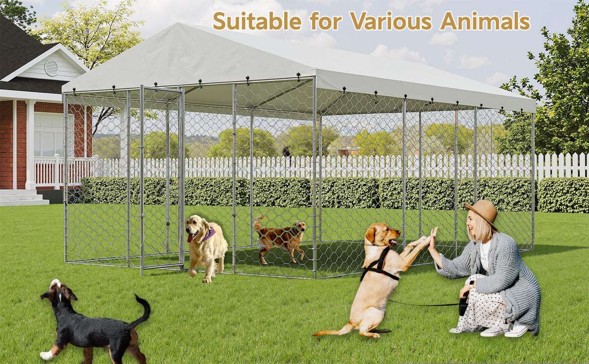 Large Outdoor Dog Kennel with Canopy for All-Weather Use – view 7