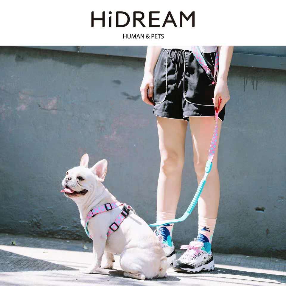 X-Style Nylon Dog Harness – view 9