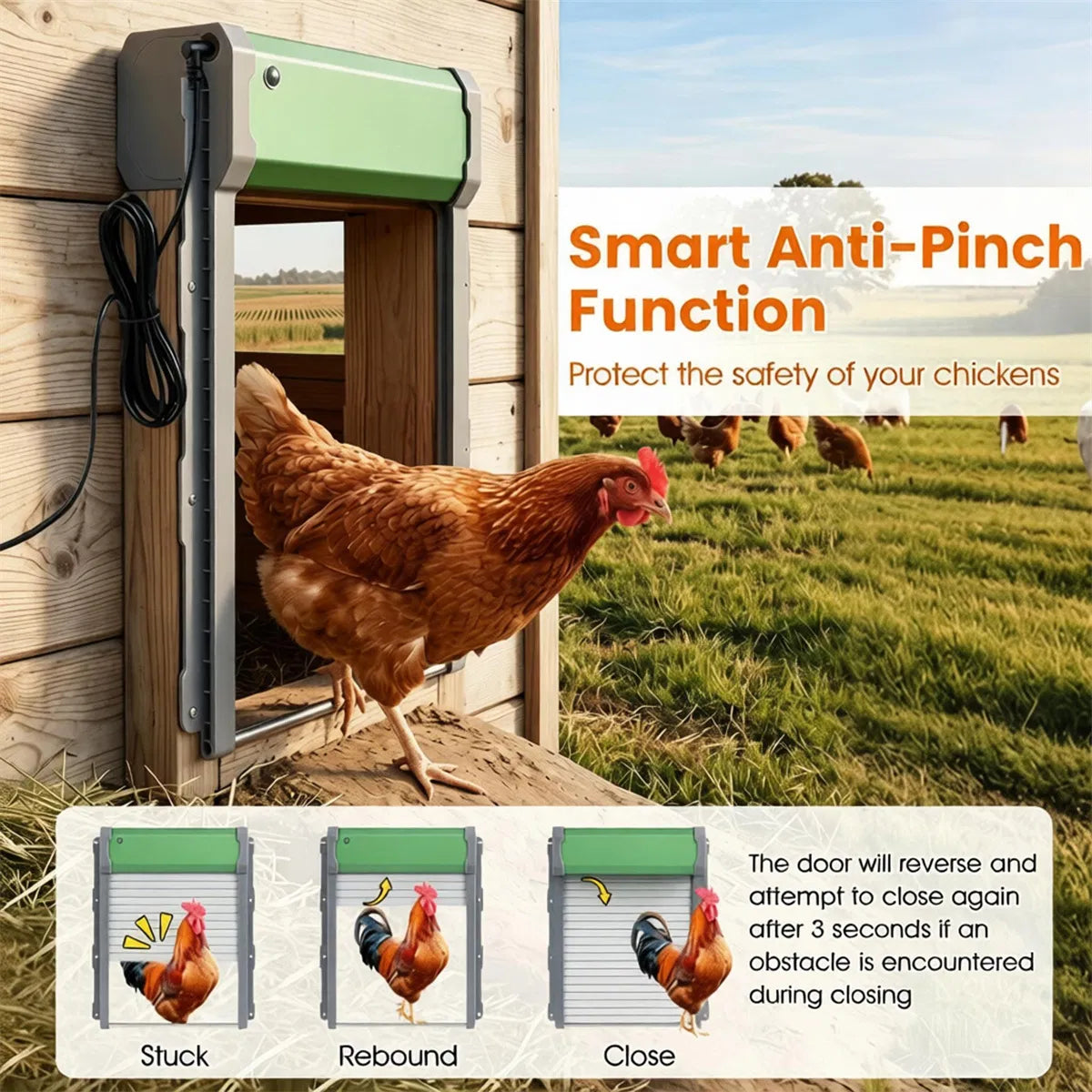 Automatic Chicken Coop Door with Solar Power and Remote Control – view 8