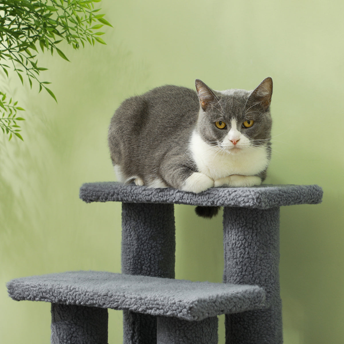 4-Step Carpeted Cat Scratching Post for Easy Access – view 8