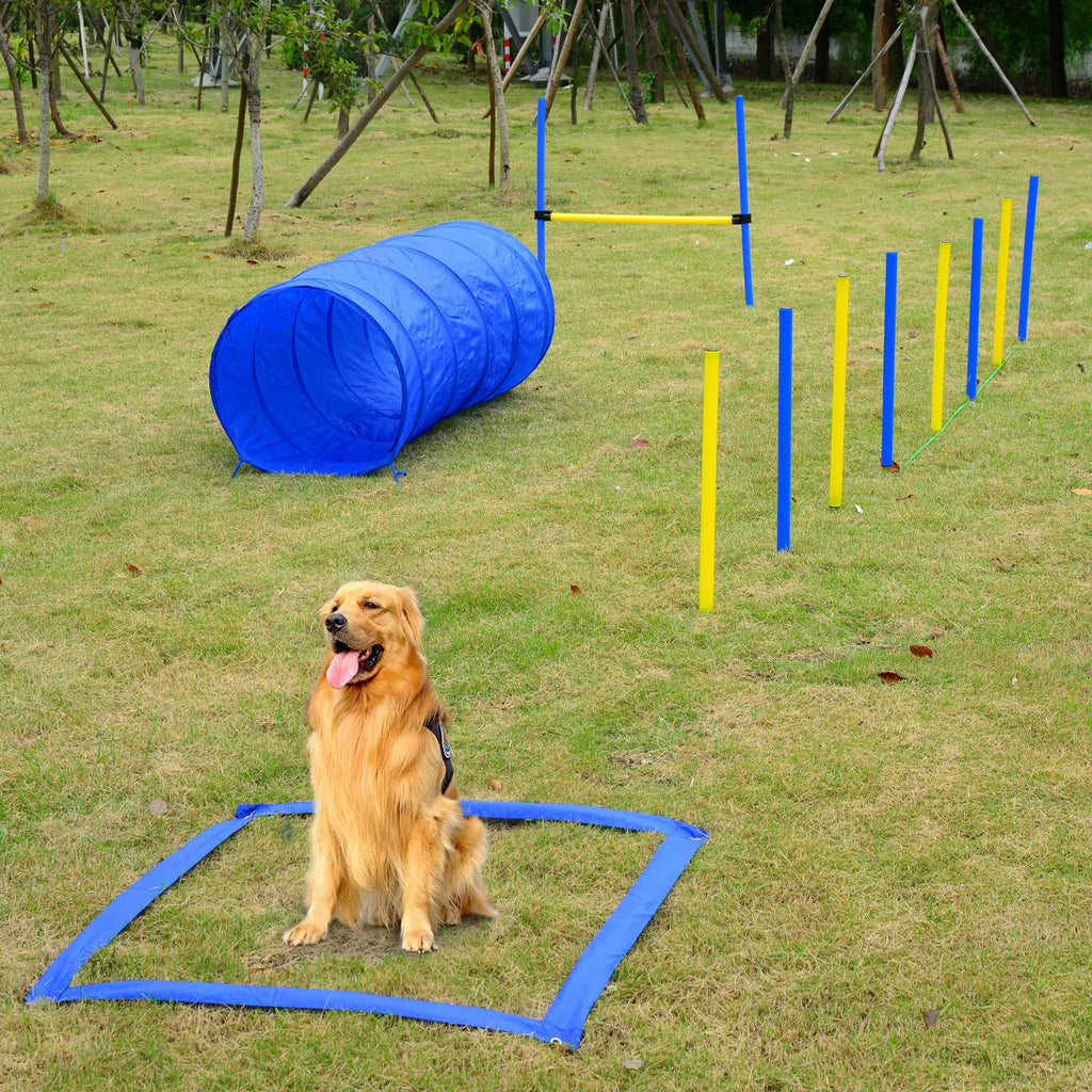 Dog Agility Training Kit for Fun and Exercise