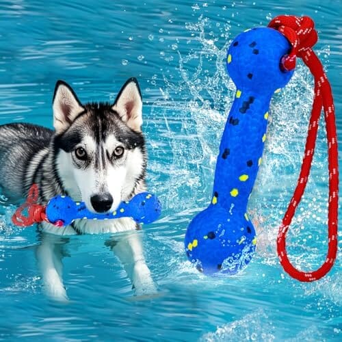 Beach & Outdoor Play – Dogs Beach Essentials (Blue Stick)
