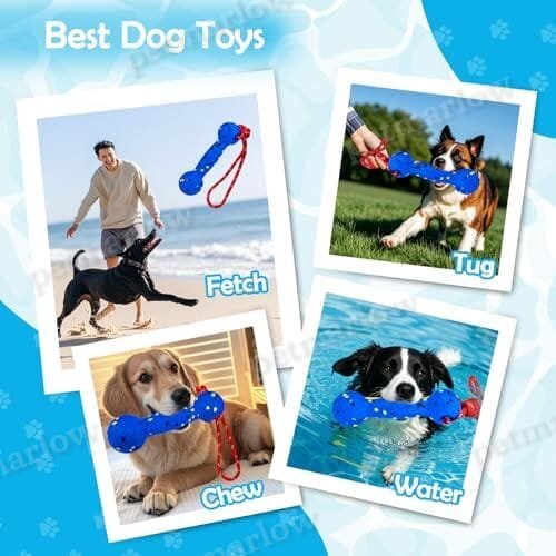 Beach & Outdoor Play – Dogs Beach Essentials (Blue Stick) – view 2