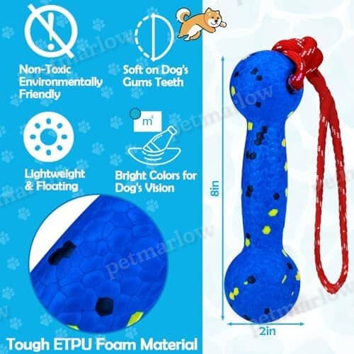 Beach & Outdoor Play – Dogs Beach Essentials (Blue Stick) – view 3