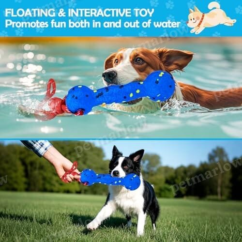 Beach & Outdoor Play – Dogs Beach Essentials (Blue Stick) – view 4