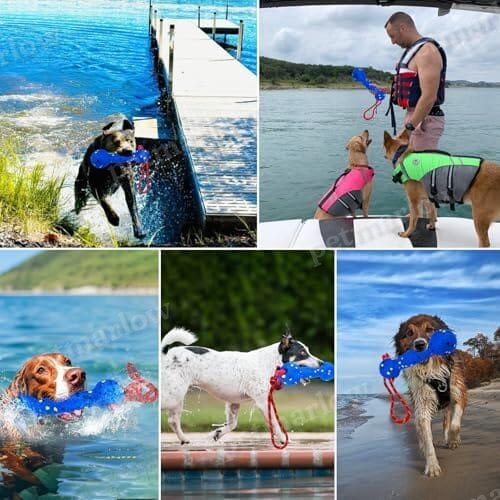 Beach & Outdoor Play – Dogs Beach Essentials (Blue Stick) – view 5