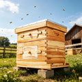 Bee Hive for Outdoor Beekeeping – view 2