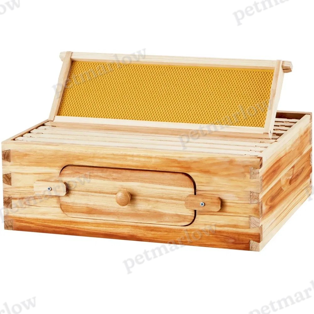 Bee Hive for Outdoor Beekeeping and Observation – view 5
