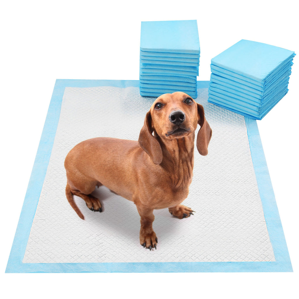 50 Pack Dog Training Pads for Potty Training – view 14