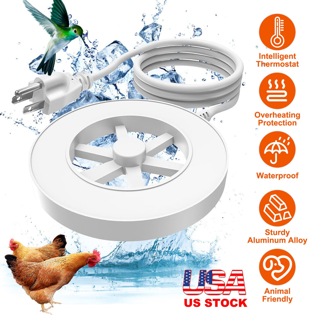 Bird Bath Heater Keeps Water Warm for Winter