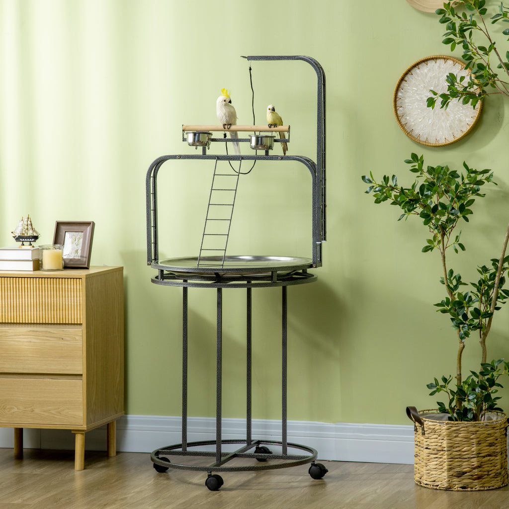 Bird Perch Stand with Toy Hook and Ladders for Exercise