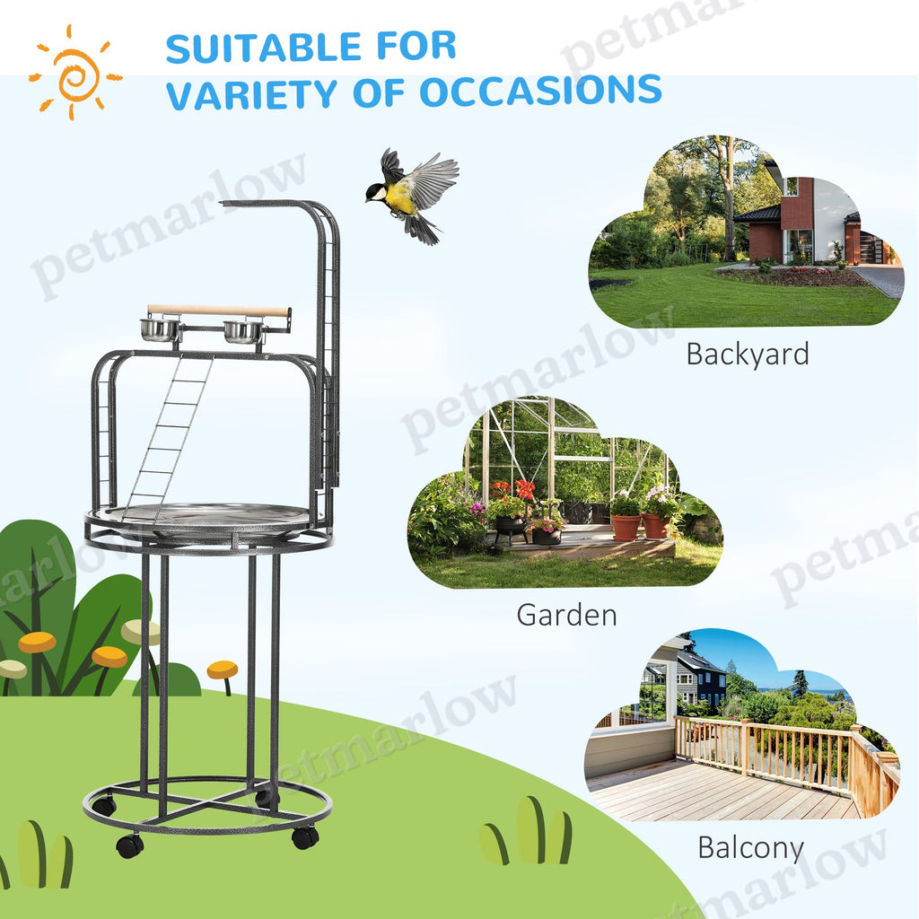 Bird Perch Stand with Toy Hook and Ladders for Exercise – view 6