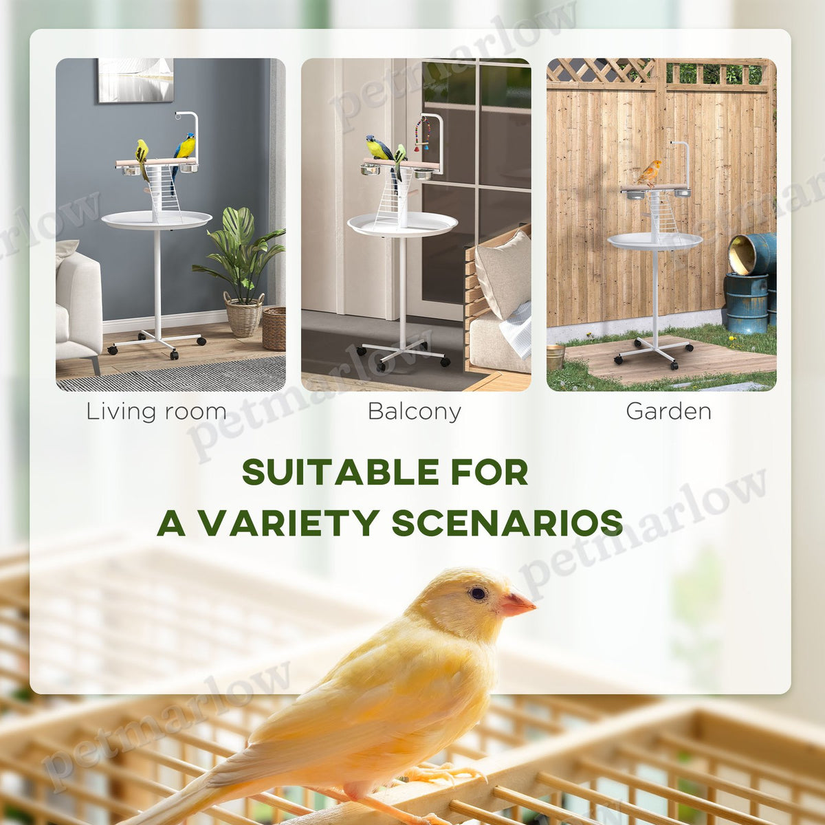 Bird Stand with Wheels for Easy Movement and Play – view 4