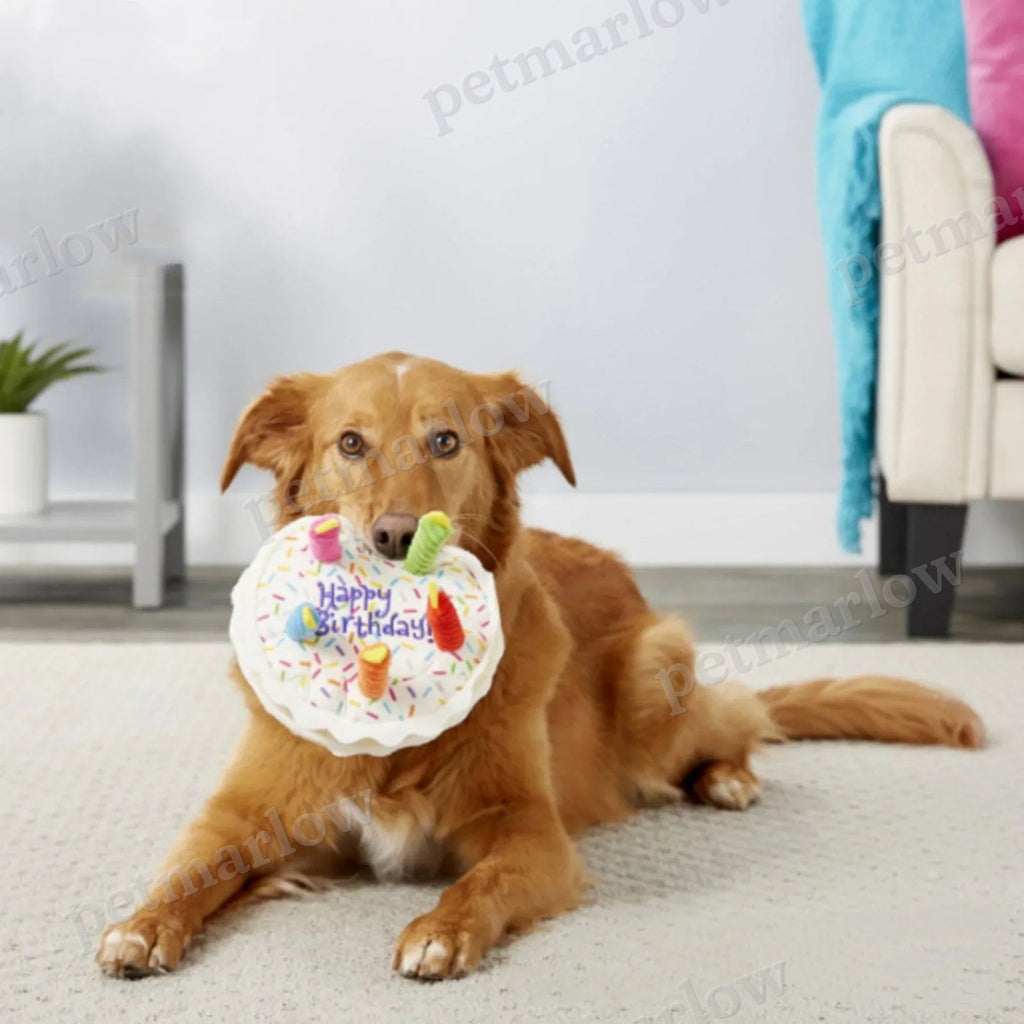 Birthday Dog Toys Set – Plush Cake, Cupcake & Bone with Squeaky Function – view 6