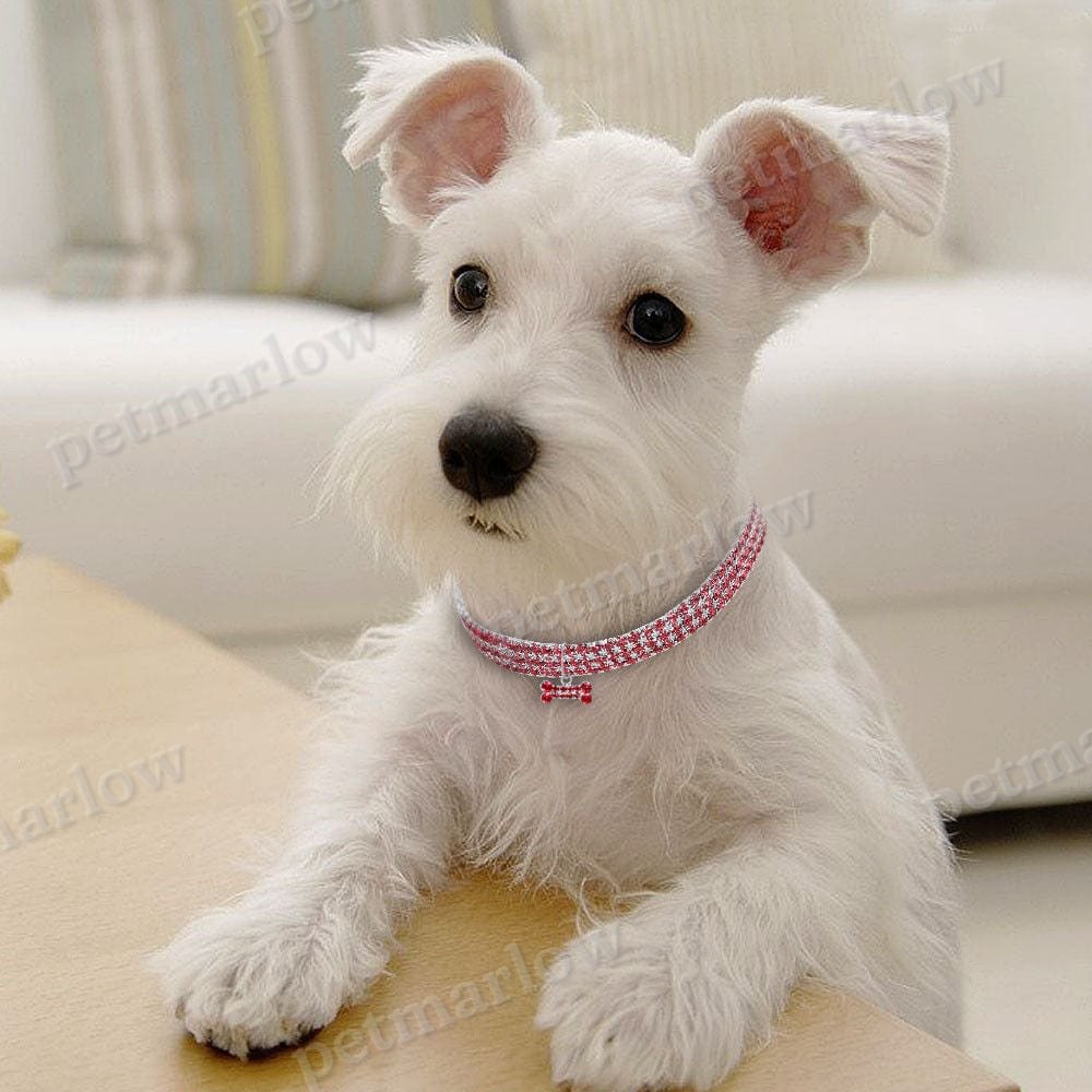 Bling Pet Collar – view 6