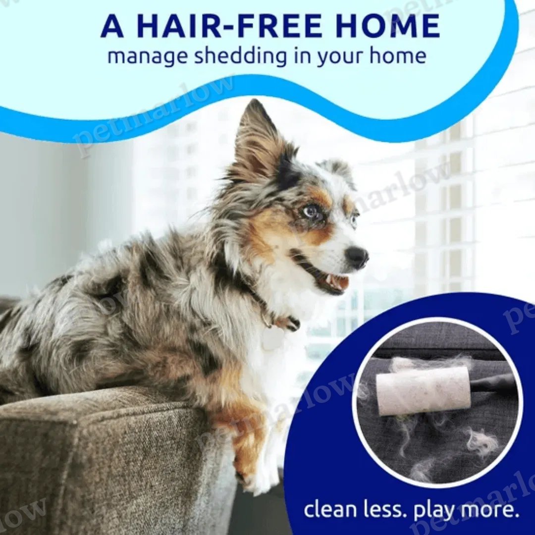 Dual-Sided Pet Hair Removal Brush for Cats and Dogs – view 4