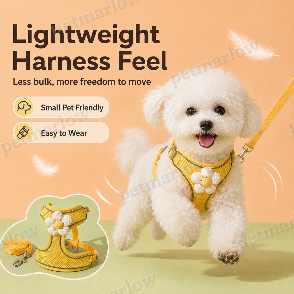 Breathable 3D Mesh Adjustable Harness & Leash Set (Small Pets) – view 6