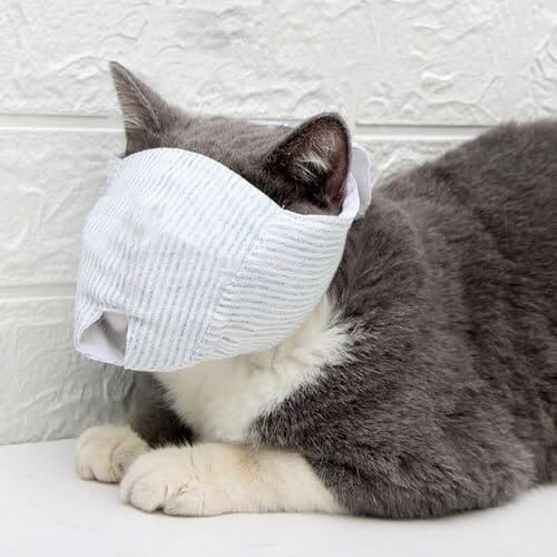 Breathable Cat Mouth Guard Anti Bite Anti Meow Cat Grooming Muzzle – S (3.3-8.8 lbs)