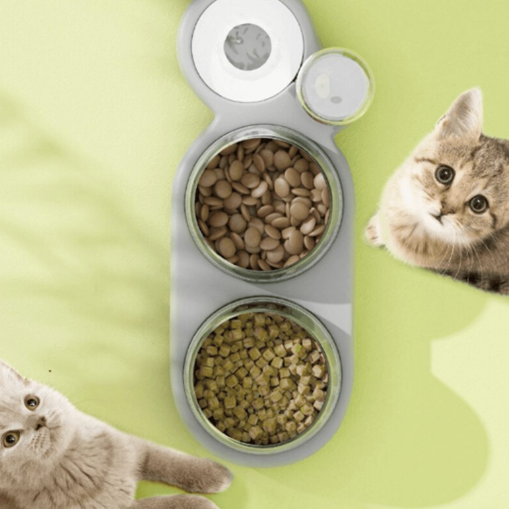 3 in 1 Elevated Pet Bowl With Water Fountain – view 15