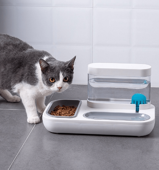 Automatic Feeder & Water Dispenser – view 11