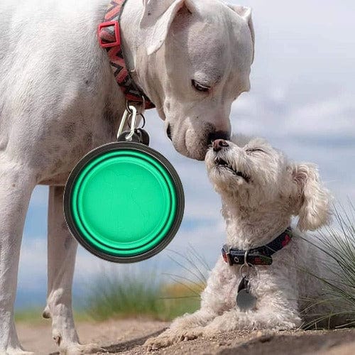 Collapsible Travel Pet Bowl For Dogs And Cats – view 11