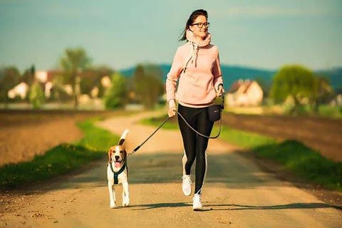 Dog Training Treat Pouch – view 11