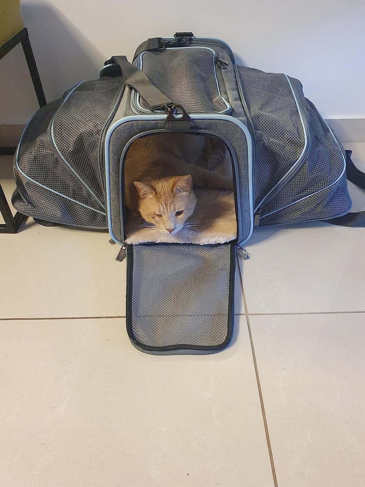 Airline Ready Dog & Cat Carrier – view 10