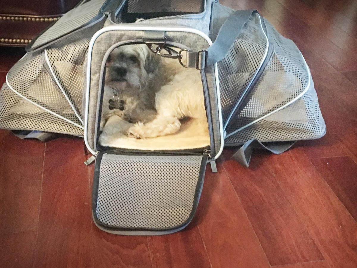 Airline Ready Dog & Cat Carrier – view 7