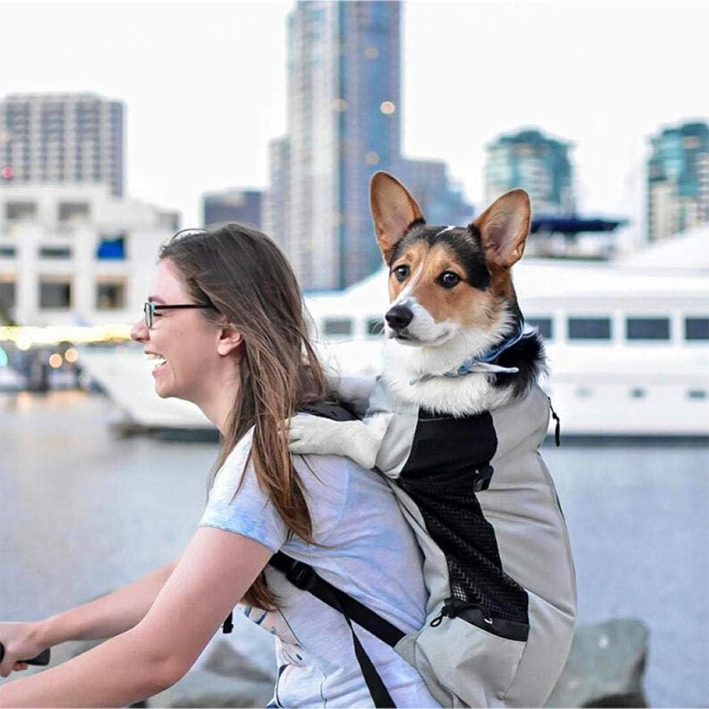 Companion Hiking Dog Backpack – view 13