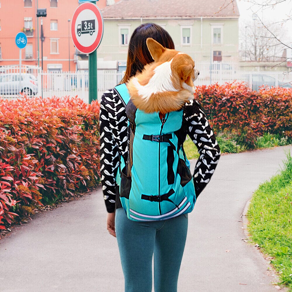 Companion Hiking Dog Backpack – view 7