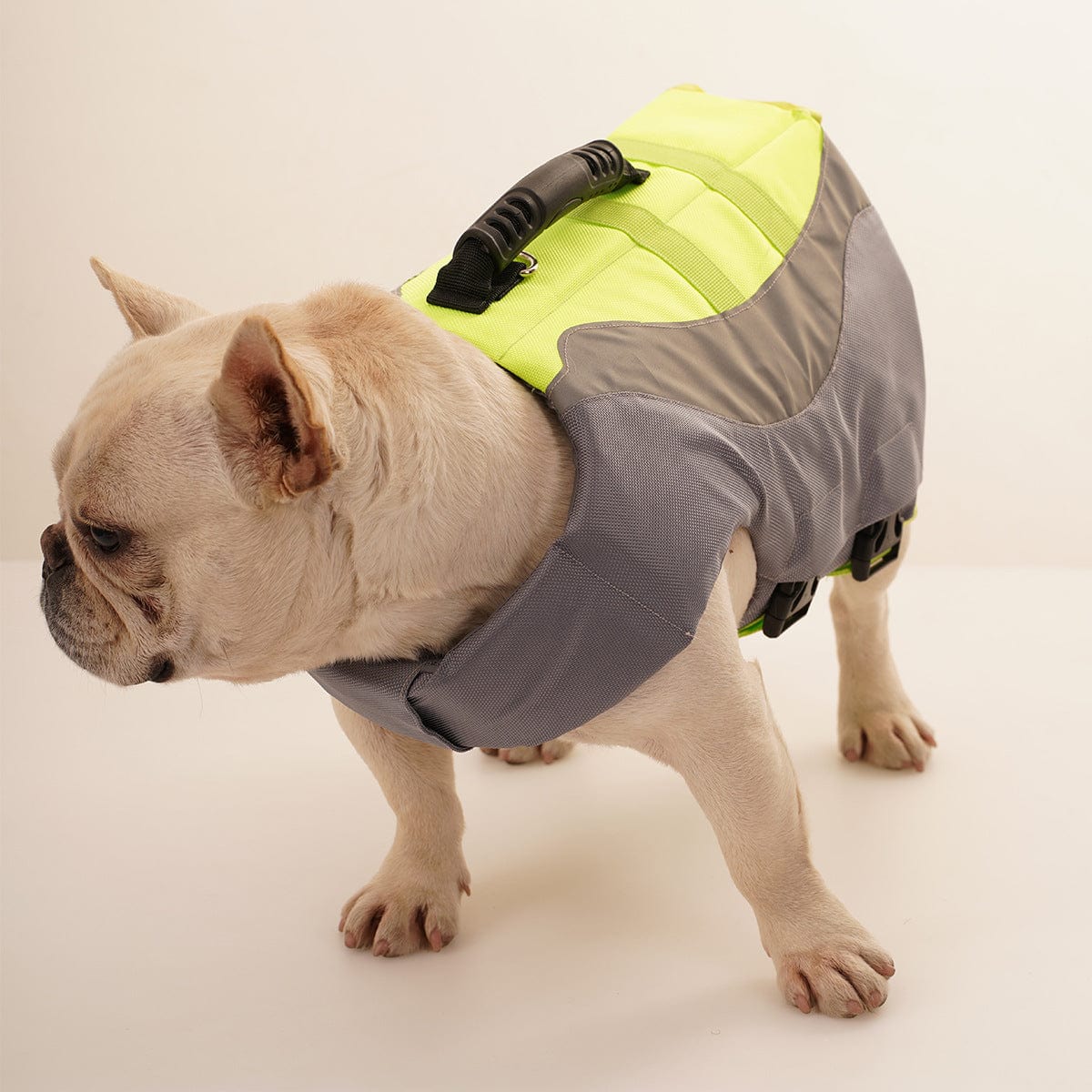 Reflective Life Jacket for Dogs – view 7