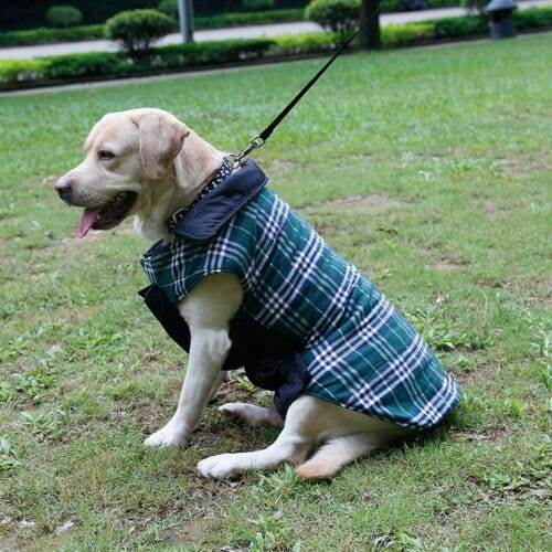 Reversible Warm Dog Coat for Chilly Weather – view 8