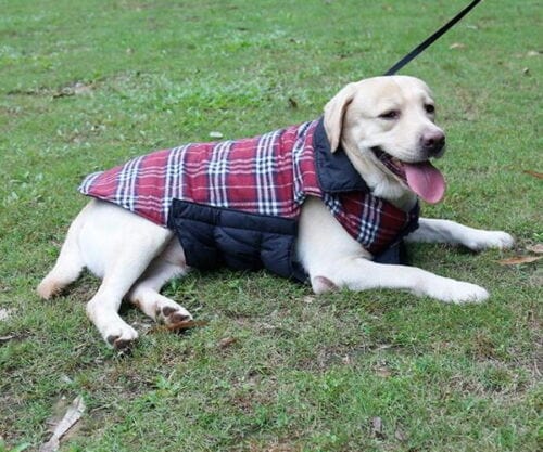 Reversible Warm Dog Coat for Chilly Weather – view 7