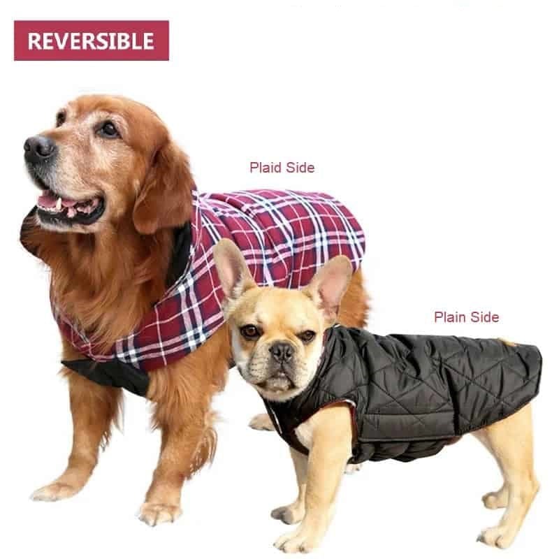 Reversible Warm Dog Coat for Chilly Weather – view 9