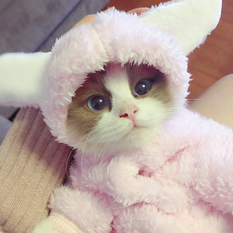 Teddy Bear Cat Hoodies – view 8