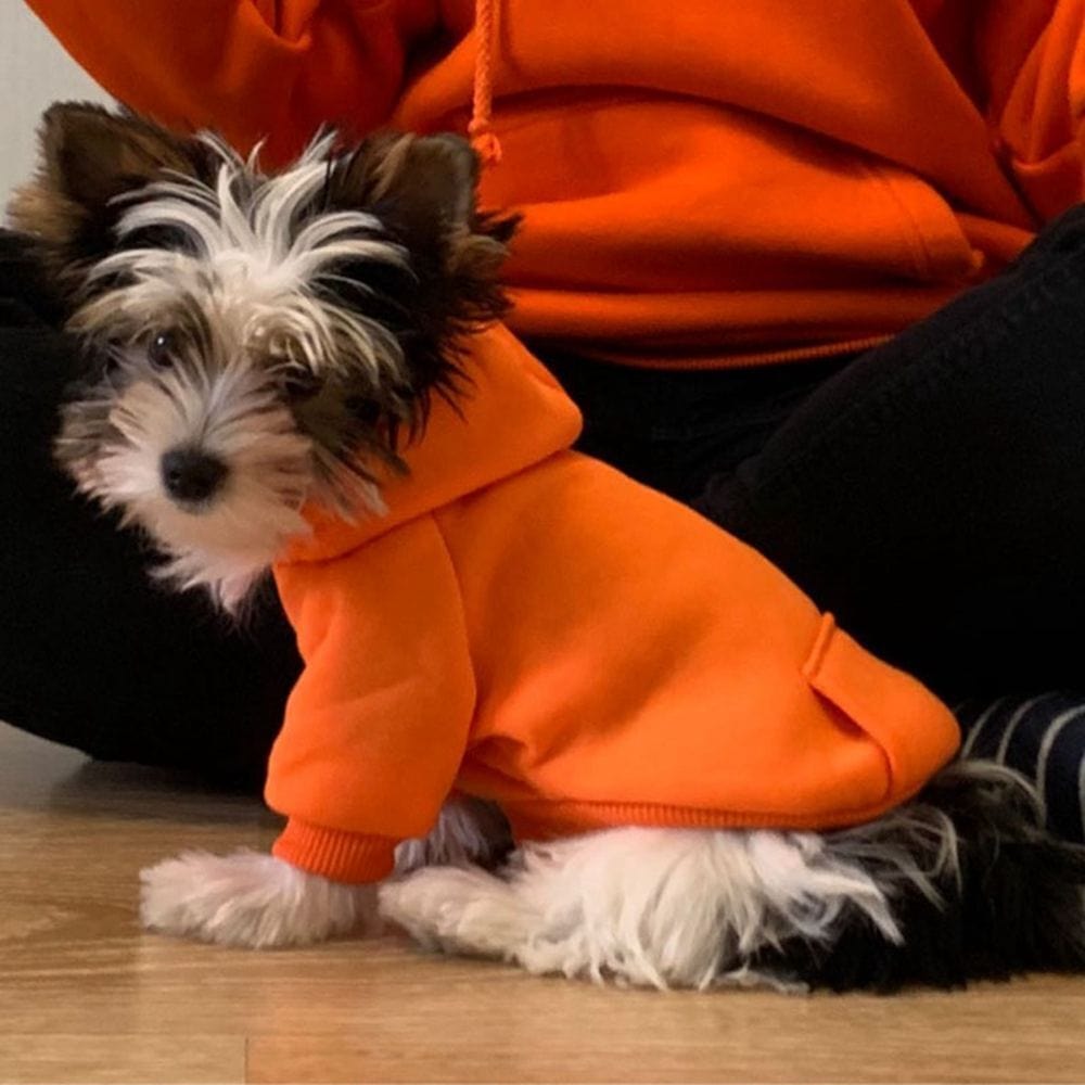 Trendy Dog Comfort Hoodies – view 10